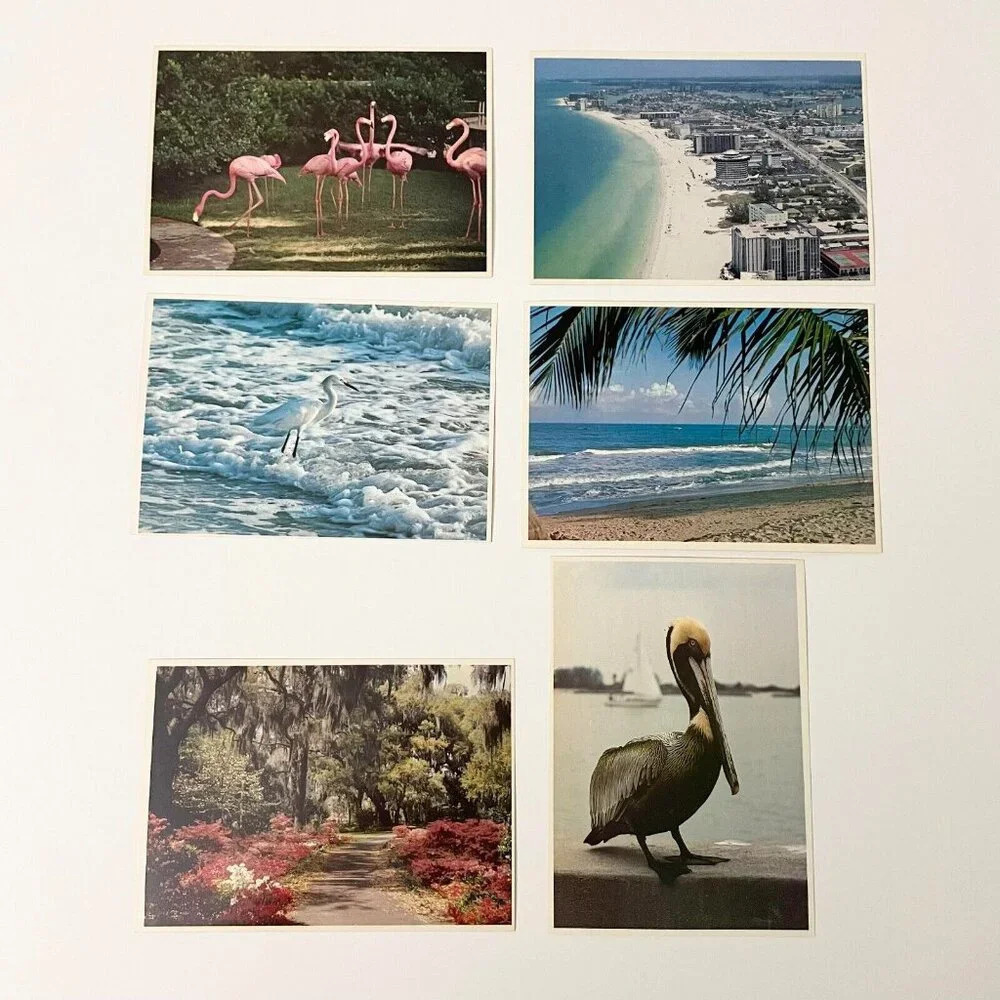Vintage Lot of 6 Sun Coast Post Cards Florida St Petersburg Flamingos Beach